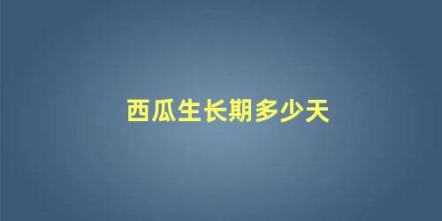 西瓜生长期多少天 西瓜种植最佳时间呢(西瓜生长期多长时间)